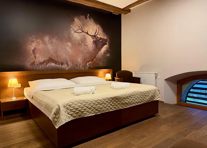 Chateau Orlice Hotel 4*